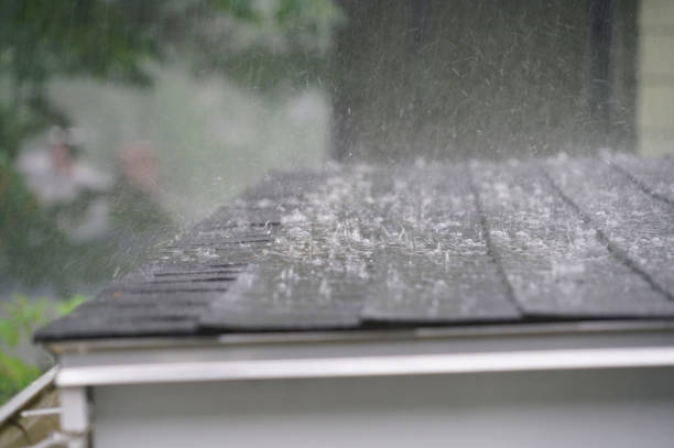 Best Storm Damage Roof Repair  in Dunlap, OH